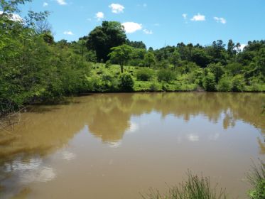 Chcara para Venda