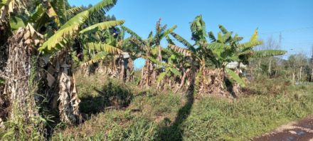 Terreno para Venda