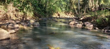 Chcara para Venda